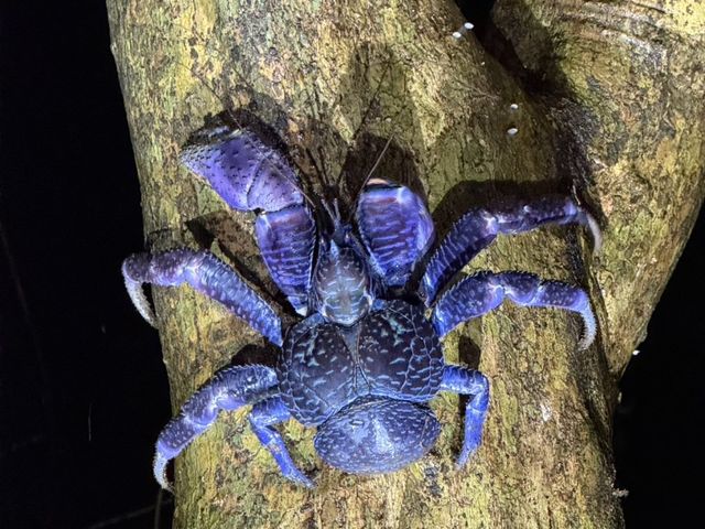 SUNSHINE MARIN �{�Ó�