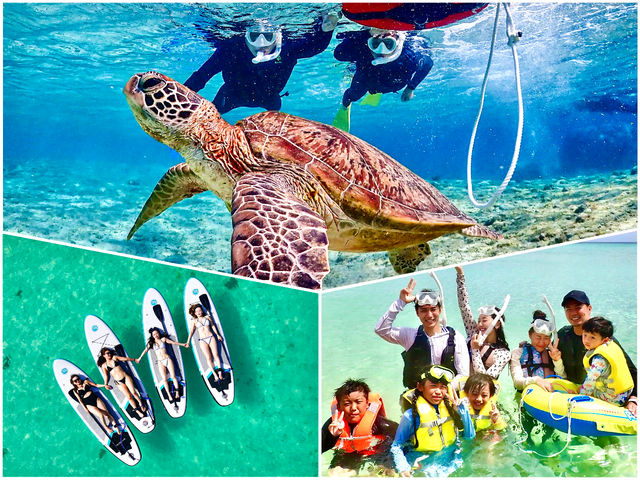 SUNSHINE MARIN �{�Ó��̎ʐ^1