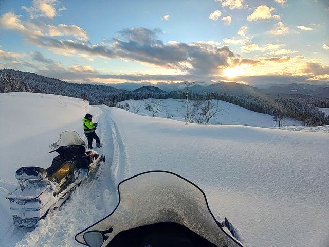 F΍Ȃ̖쐶_HAC كAEghAZ^[