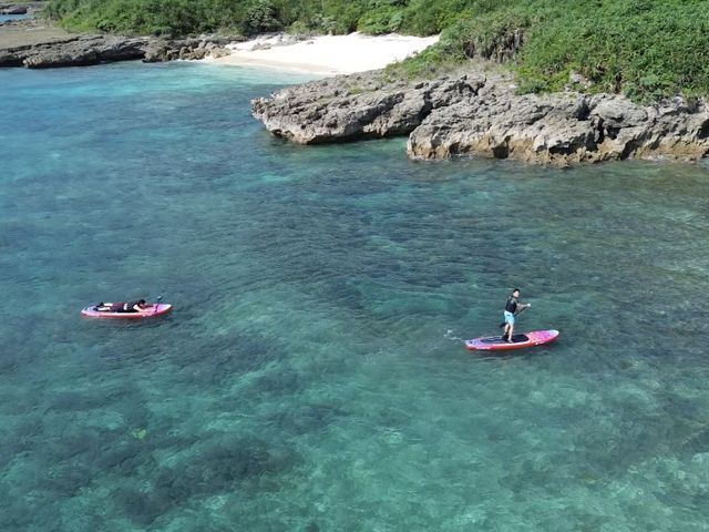 �h���[���B�e���H
_�C�P�����p���_�C�X �{�Ó�