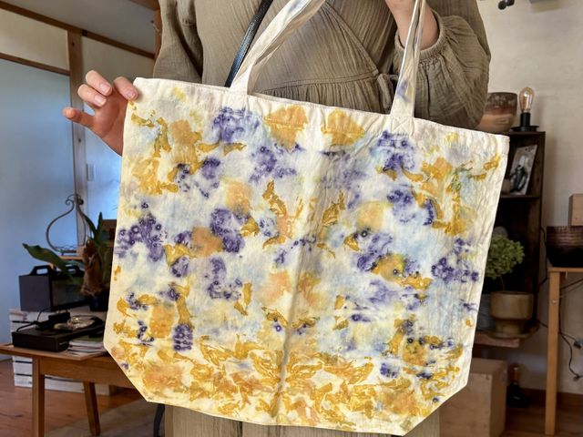 beau bois/SpringB̎ʐ^1