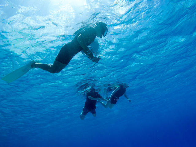 �P���}�e���X