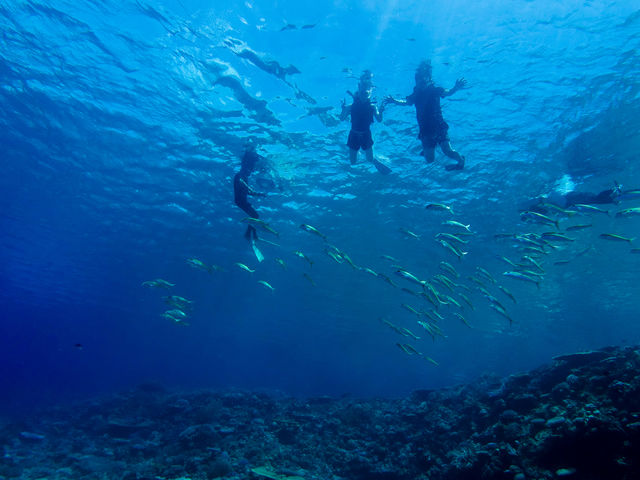 �P���}�e���X