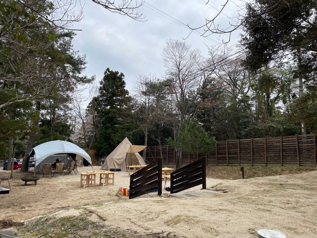 �e���g���Q�Ńe���g�����\�I_AOU no MORI