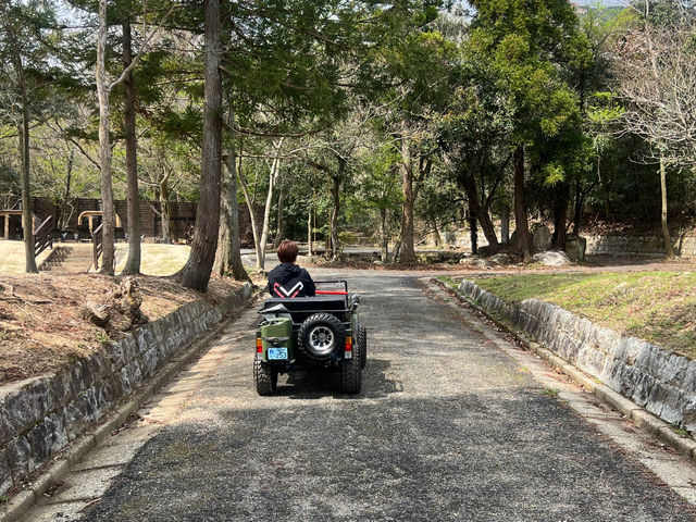 �{�ݓ���_AOU no MORI