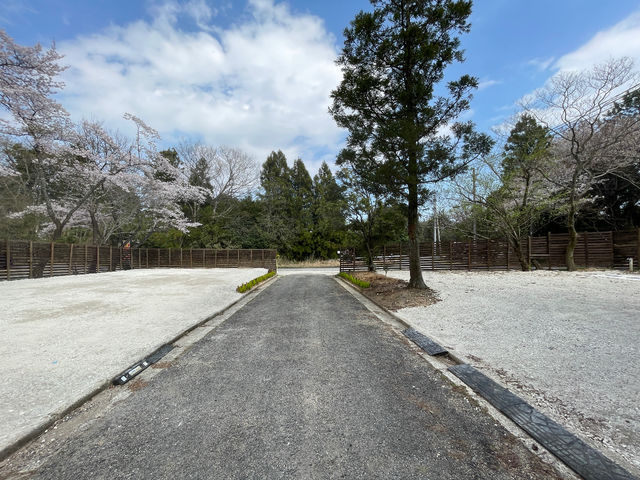 ���ԃX�y�[�X(15��قǒ��ԉ\)_AOU no MORI