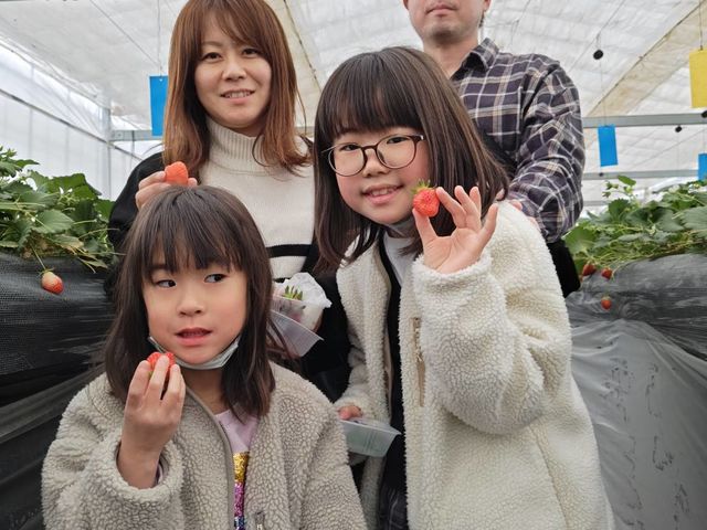 �w�R��������