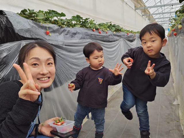 �w�R��������