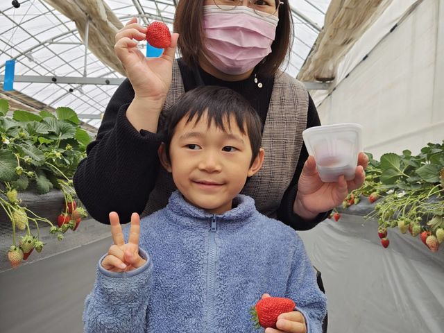 �w�R��������