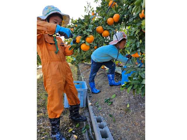 qłn₷ɈĂĂ邩Alqyňł܂B_Ђܔ_