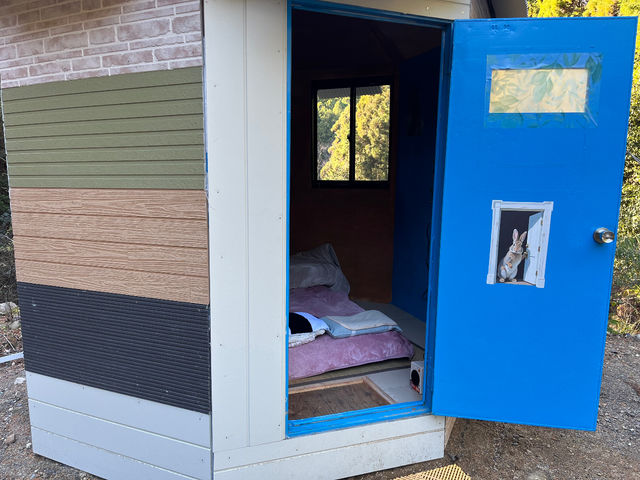 �F��̋� �����̂��̎ʐ^1