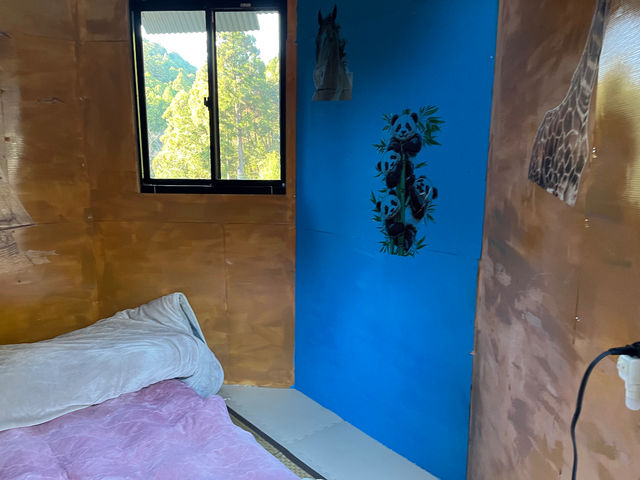 �h�[���n�E�X�̒�_�F��̋� �����̂�