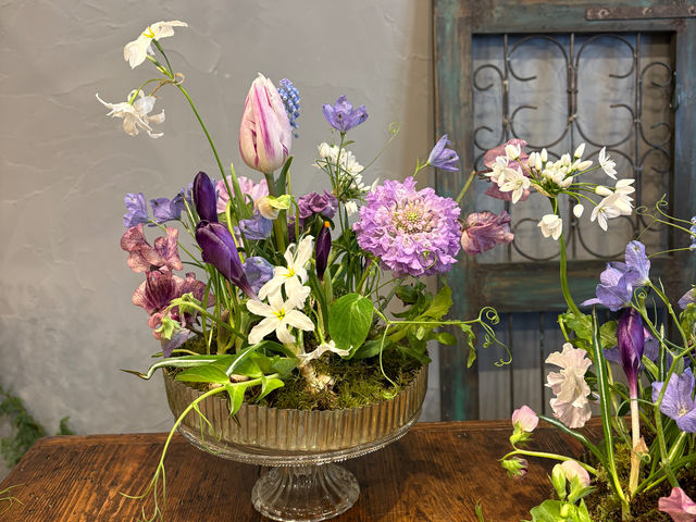 �G�߂̋����A���̃A�����W�����g_�ԉ��X���j�[��