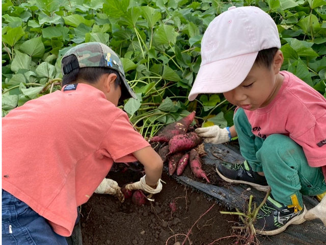 �{�̖�؂����n�I�q���B�������ł��I_���񂳂񎩑R�_��