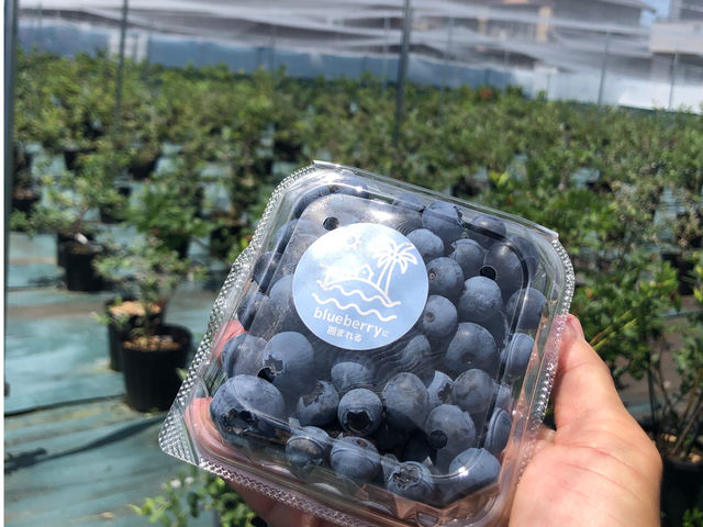 ́ApbNɓEݎ蒸VXełB
Hוł͂Ȃ̂ŁA^^_u[x[Ɉ͂܂