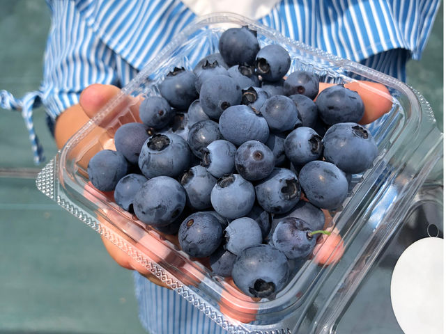 嗱ȕi킪_u[x[Ɉ͂܂