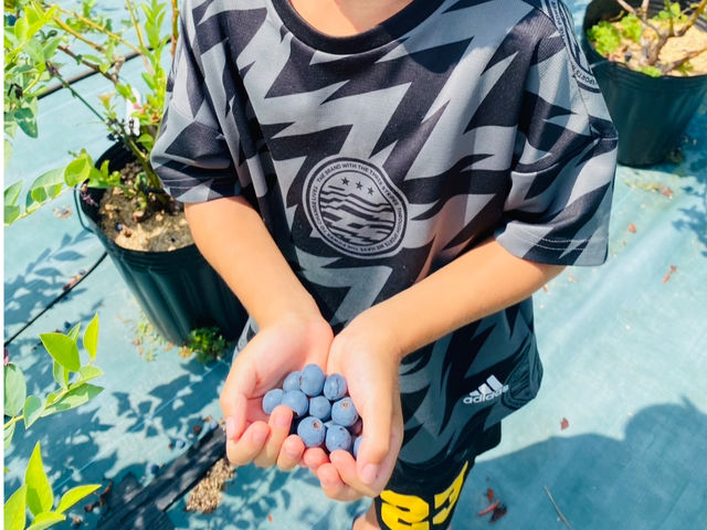 �j�R�j�R�ł��q�l���y�����E�ݎ��^^_�u���[�x���[�Ɉ͂܂��