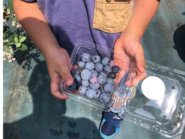 qlȒPɓEݎ肪ł܂I_u[x[Ɉ͂܂