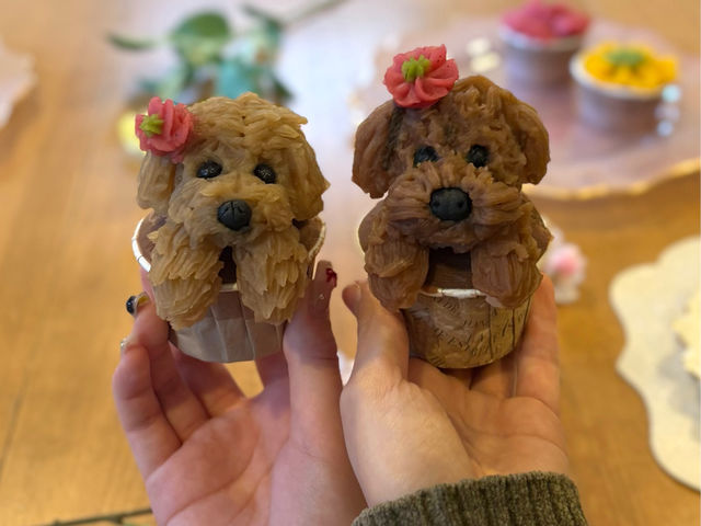 ���񂱂̂��ԍi��̌� ����Mari