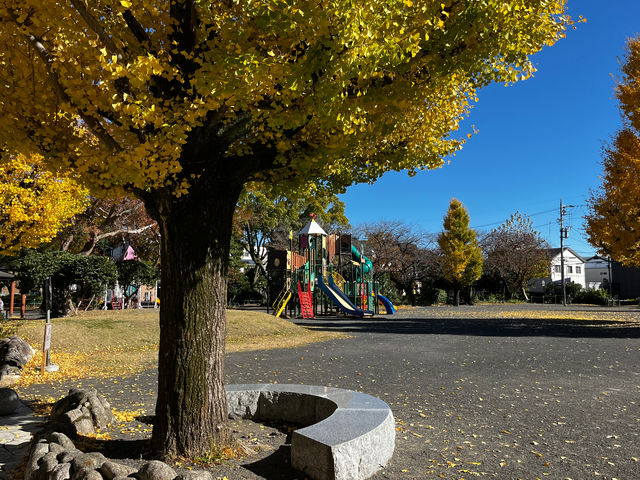 ����������ق̓쑤�̑傫�Ȍ���_���͐��̋����y�É��E����������فz