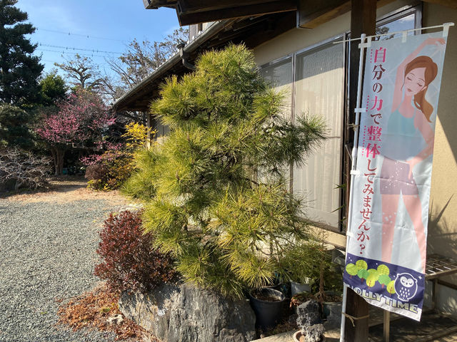 ����̗l�q�B_���͐��̋����y�Ēå�܂̂��_�� �ꉮ�z