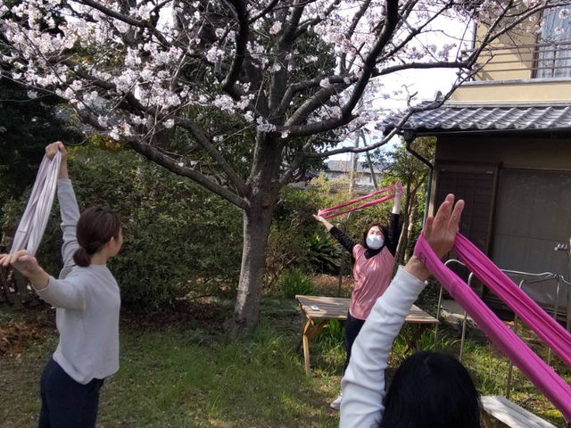 �t�͍��̖؂̉��ł��Ԍ����Ȃ��玩�͐��̂����邱�Ƃ�����܂��B_���͐��̋����y�Ēå�܂̂��_�� �ꉮ�z