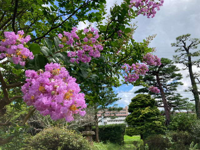 �T���X�x���̂��Ԃ��B_���͐��̋����y�Ēå�܂̂��_�� �ꉮ�z