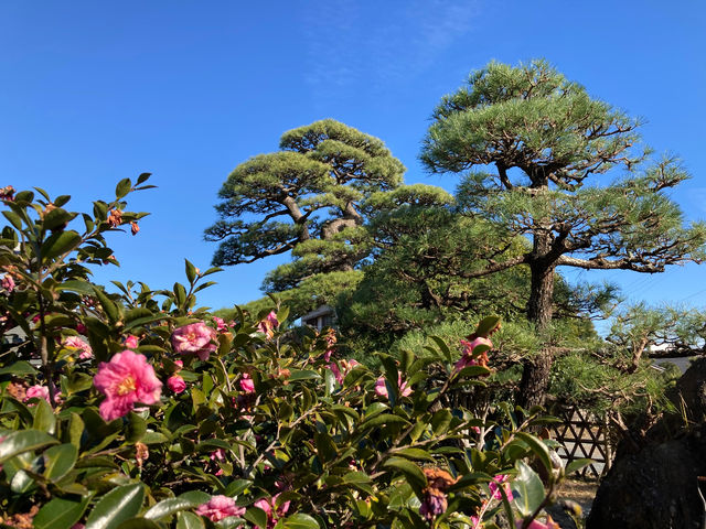 �ւ̂��Ԃ��B_���͐��̋����y�Ēå�܂̂��_�� �ꉮ�z