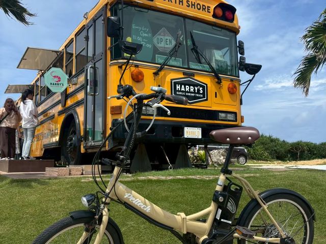 RentalBike miyakojima�y�z�e���z�B�z�����^�T�C�N���{�Ó�Cafe&Bike