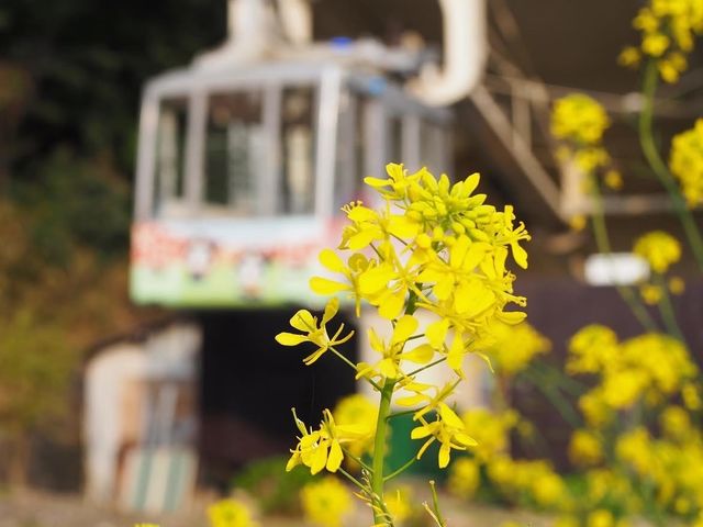 �k���G��&�J�t�F AMBER