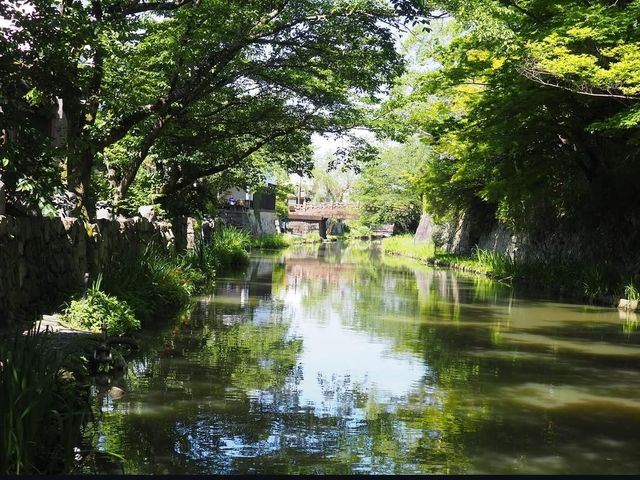 �k���G��&�J�t�F AMBER