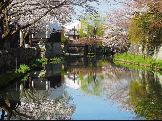 �k���G��&�J�t�F AMBER