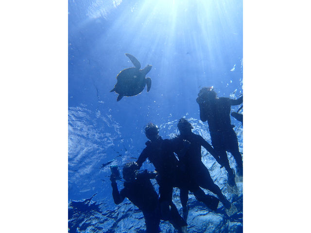 Ί_E~KVm[PcA[
_Ί_tHgE~KVm[P Sea starΊ_