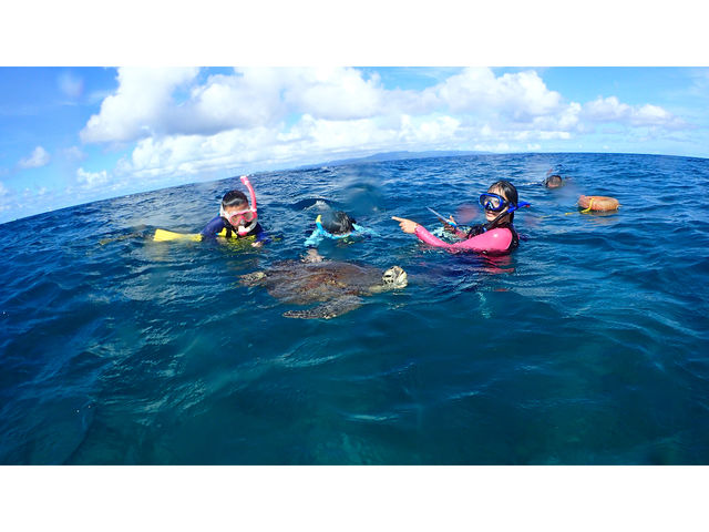 E~KɒmŏoĂȊԋ߂ŉjIH񂲎QI_Ί_tHgE~KVm[P Sea starΊ_