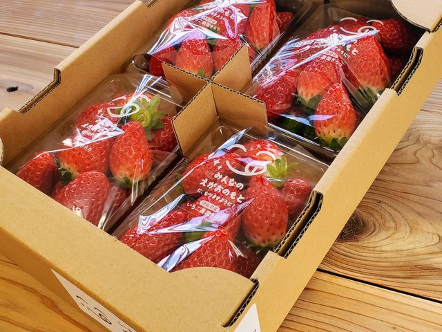 �������_�� �����