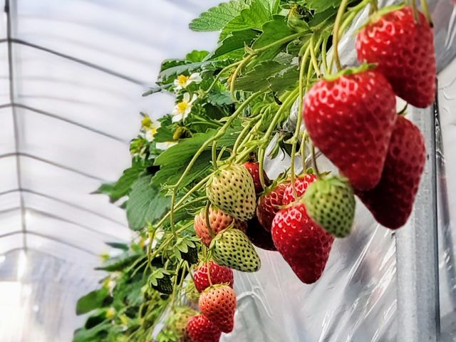 �������_�� �����