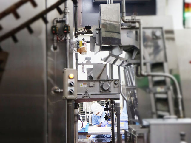 ���w�ʘH����_�������g �{�ЁE�H��