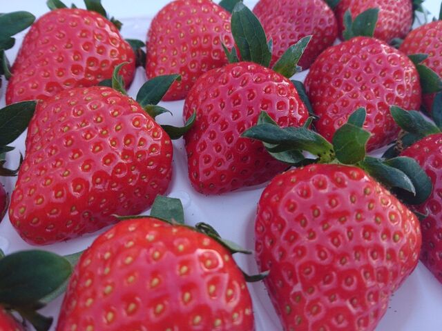 �����ό��_���i�������j_�����ό��_���i���炭��Ȃ�j