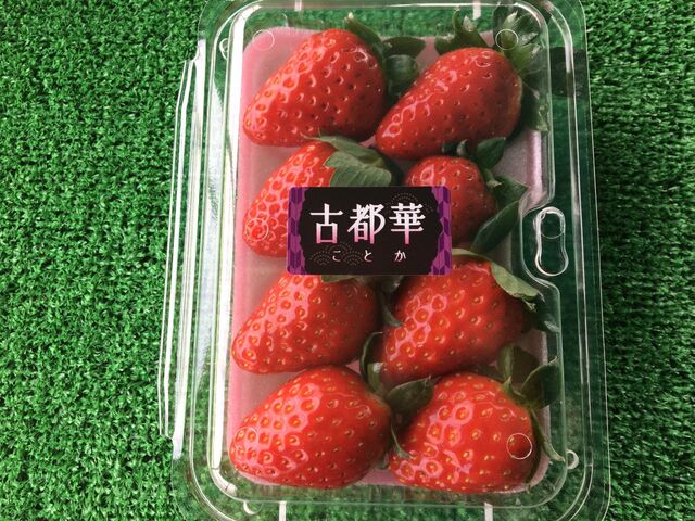 �����ό��_���i���炭��Ȃ�j