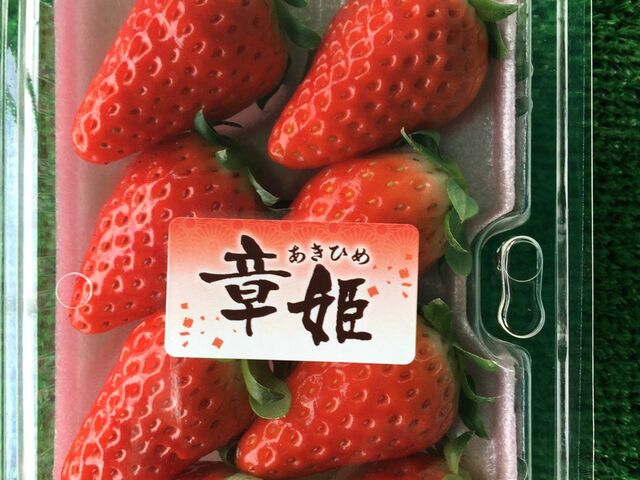 �����ό��_���i�͕P�j_�����ό��_���i���炭��Ȃ�j