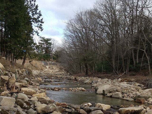 �\�������Ƌ����g���̎ʐ^1