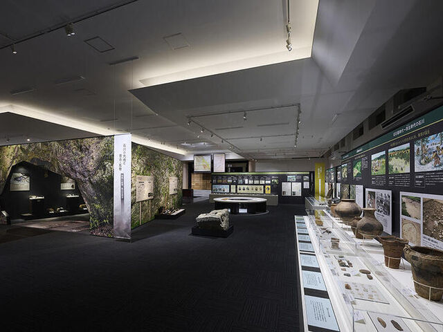 �ΐ쒬�����j���������ف@�C�V�j�N���̎ʐ^1