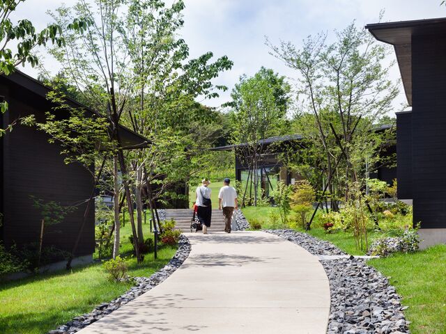 ���c��t�r�����l�G�ʂ̓m�@�����̎ʐ^1