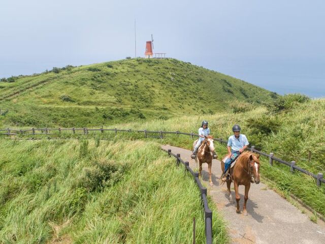 �J�i�f�B�A���L�����v�哇�q��̎ʐ^1