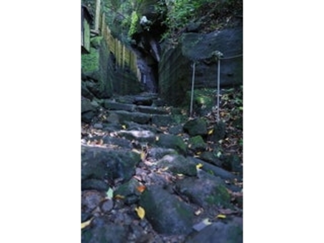 ���⓴�̎ʐ^1