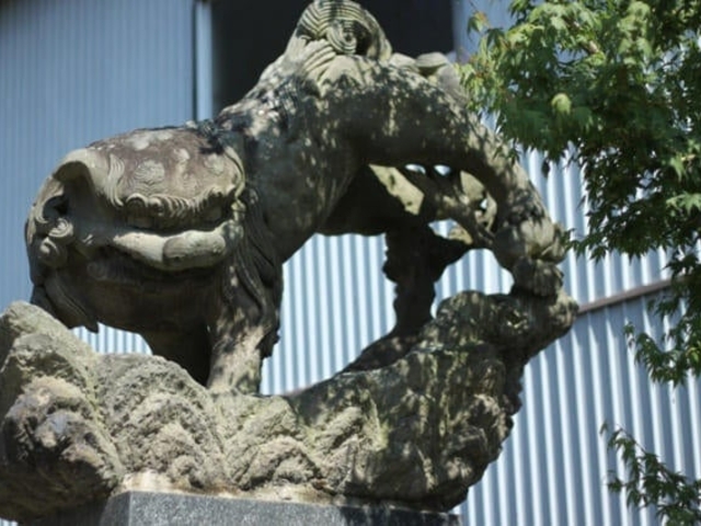 ���Đe�q���q�̎ʐ^1