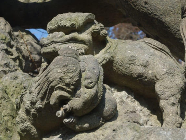 ���Đe�q���q