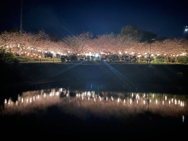 �����R����