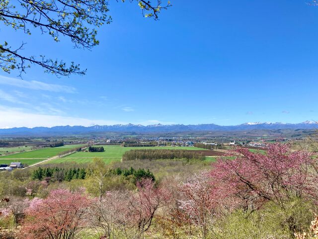 ������R�X�ь����E�W�]�f�b�L