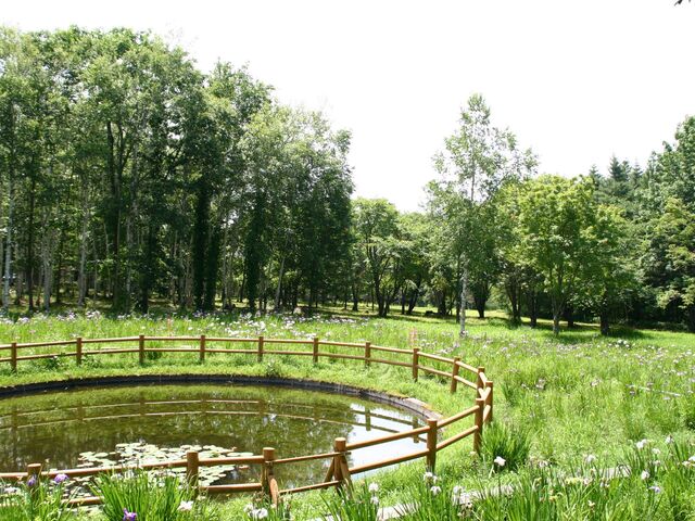 ������R�X�ь����E�W�]�f�b�L